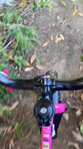 Exploring the World of Minibikes for Adventure Enthusiasts