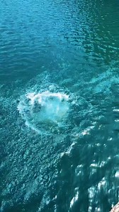 #cliffdiving #cliffdiving #backflip @shifer_what | Parkour