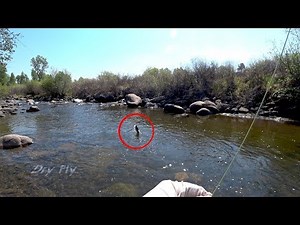 The Amazing Dry Fly Bite! - 3wt fly rod - McFly Angler Episode 52