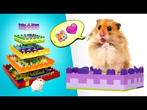 とってもクールなハムスター用迷路の作り方 || 楽しいDIY!🐹🐀