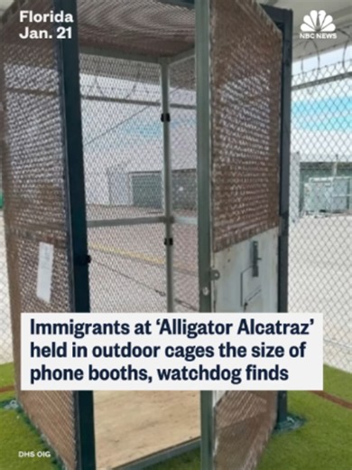 Some immigrants detained at Florida’s now-shuttered “Alligator Alcatraz” were confined in outdoor cages only slightly larger than telephone booths for more than an hour at a time, according to a new report by the Department of Homeland Security’s inspector general. NBC News' Julia Ainsley reports.