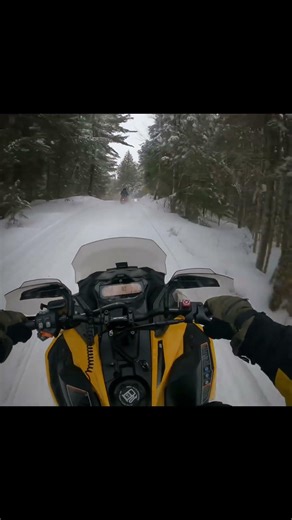 Carving in and out of the trails! #snowmobile #riding #snowmobiling #snow #sledding #snowride