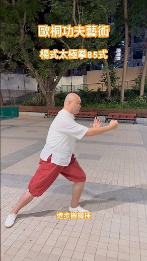 楊式太極拳85式第十二式進步搬攔捶