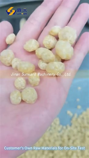 How to making nutrition powder (Instant porridge) use twin screw extruder machine? please follow~