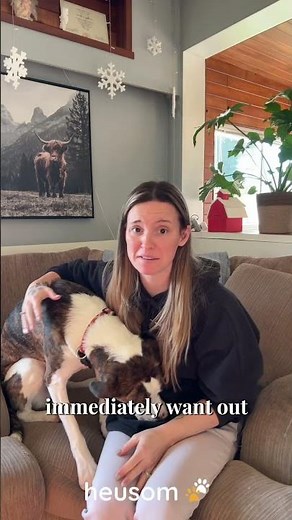Silent Groom Pro gently trims your dog’s nails with ultra-quiet performance 🔇🐶