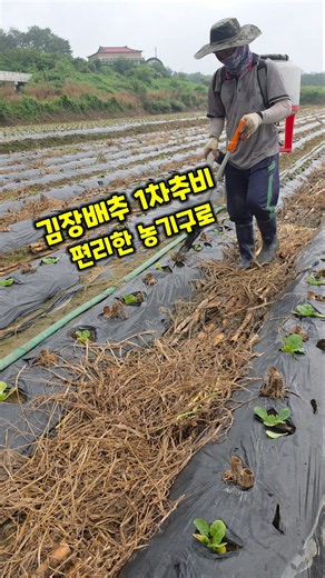 Easy Tool for First Side-Dressing Cabbage, Convenient Farm Equipment, Multipurpose Spreader, Gras...