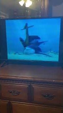 Shark Tale (2004) Frankie Dies VHS Capture