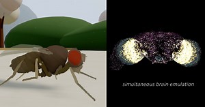 Eon | Upload the Human Mind