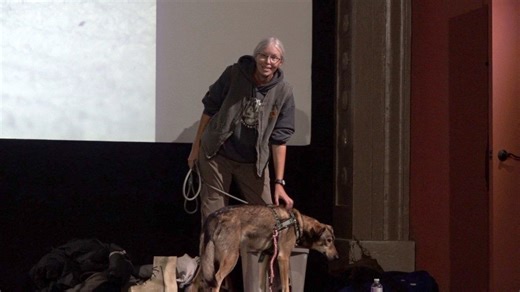 MUSH: Karen Land - and Sophia the sled dog - bring tales from the Iditarod across America