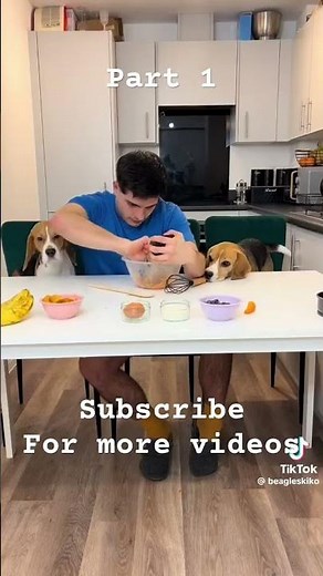 Cooking with beagles (part 1)