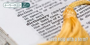 Check terminology resources