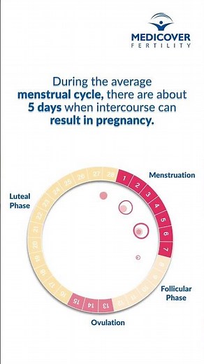 Secrets of Your Fertile Period and Monitoring Your Menstrual Cycle