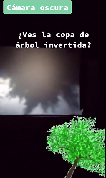 Cómo funciona una cámara oscura: Entiende su magia