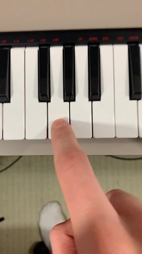 Mesmerizing Piano Performance by Lionfield Musician Showcase