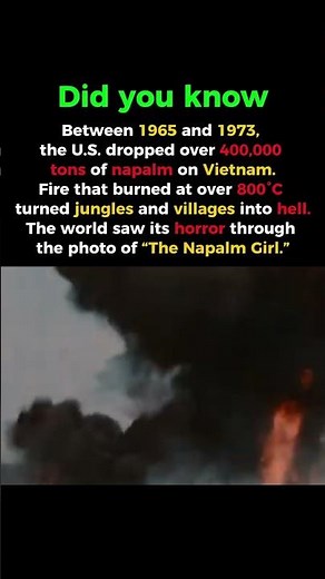 The Weapon That Turned Vietnam Into Fire #coldwar #historyshorts