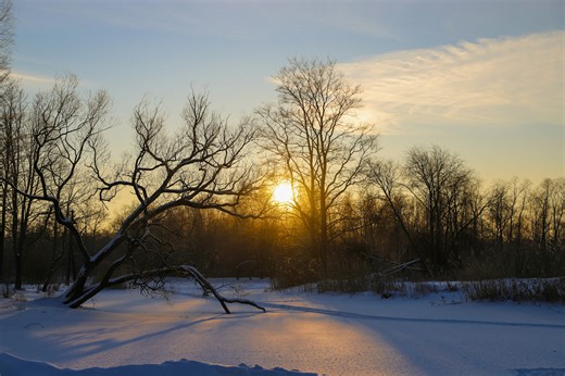 Winter solstice longer days, colder weather ahead in Canada - The Weather Network