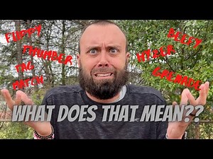 Explaining Disc Golf Terms | Disctionary for Beginners