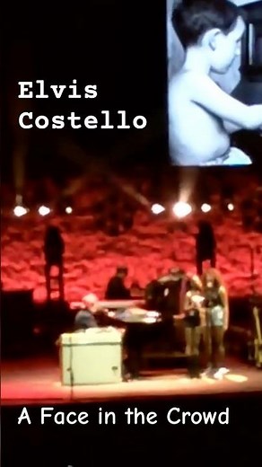 Elvis Costello - A Face in the Crowd