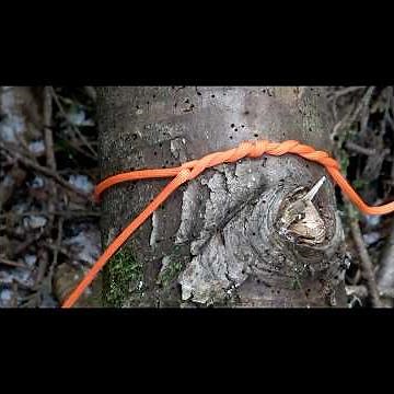 How To Tie a Timber Hitch