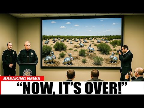 Florida Unleashed Hundreds of Robotic Rabbits to Hunt Pythons — The Outcome Shocked Everyone