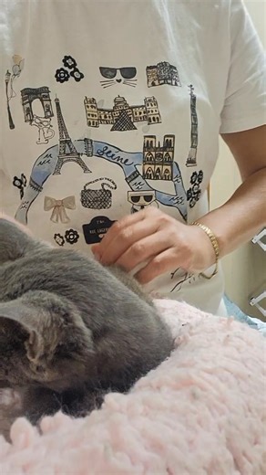 4.2K views · 211 reactions | That time the insider at the NorCA...