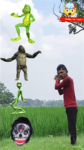 Head to Gorilla, Frog, Alien, Monkey - Dami to cosita dance magic video