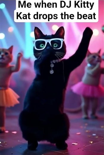 Shake that kitty kat #cat #cats #shorts #shortsfeed #catshorts #dance #funny