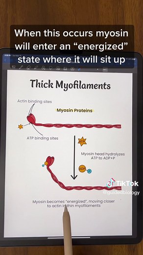 Guided Biology on TikTok