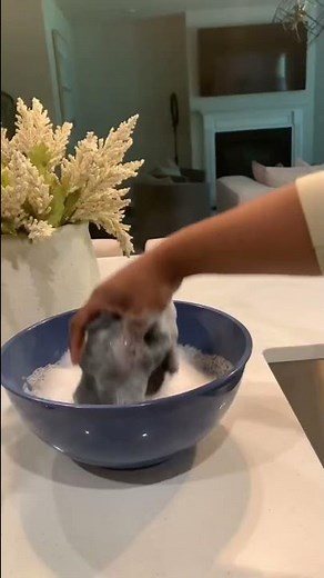 How to Clean Glass Pendant Lights | Kitchen Lighting Ideas