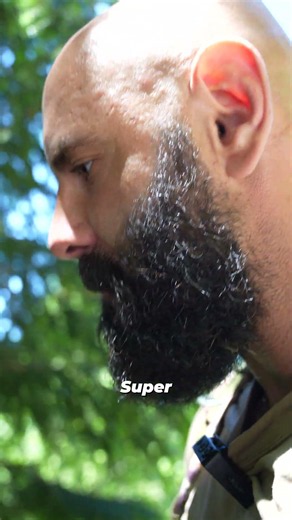 Der natürliche Energie-Kick am Berg! 🌿 Wostok füttert Imker Rainer mit Trieben!