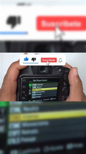 Nikon D3300: Make Your Photos Vibrant with Picture Control!