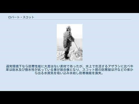 ロバート・スコット