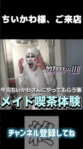 [Maid Cafe] Chiikawa-sama visits