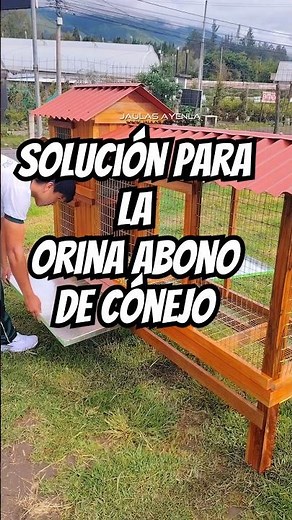 Solution to your Rabbit's Urine and Manure Problem