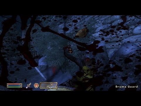 TES 4 Oblivion: Deadly Reflex 6 Tutorial + Showcase