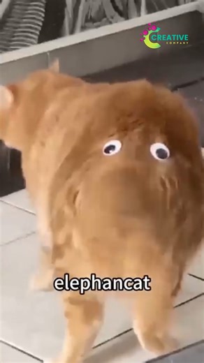 That’s a plot twist if I’ve ever seen one! | Creative Company