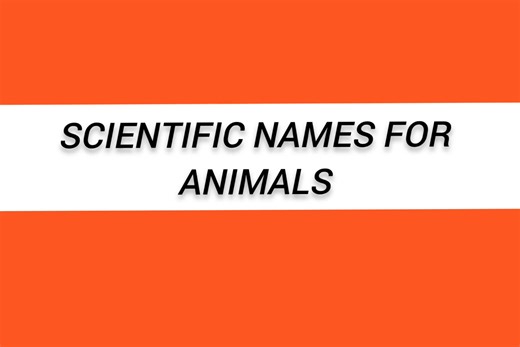 scientific names for animals