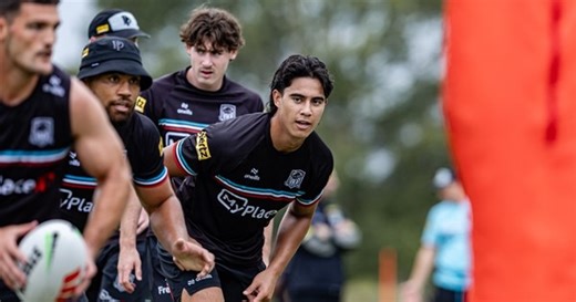 Act of Squad: Panthers predicted team and 2026 overview