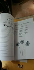 Watch Bipolar Disorder Journal&colon; Beautiful Journal and Workbook To Track Moods and Bipolar Symptoms, Ene... on Amazon Live