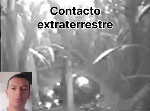 #reptilianos #extraterrestres #alien #area51 #criaturas | Contacto Extraterrestre