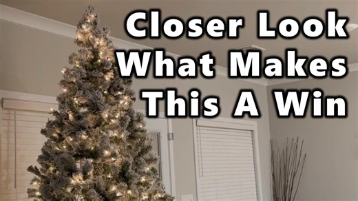 Watch Easiest Tree I've Setup from Start to Finish on Amazon Live