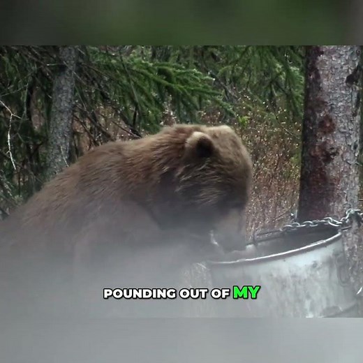 Epic Brown Bear Bow Hunt in Alaska: The BIG One! #shorts