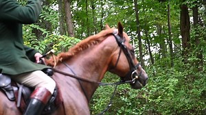 Good Morning Orange County Hounds ©2021 Middleburg Photo LLC | Middleburg Photo