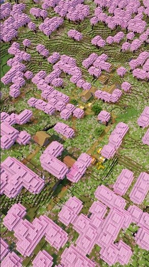 I found a Minecraft CHERRY GROVE VILLAGE seed!