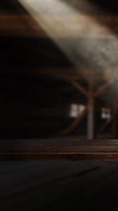 Control key diseases in fruiting vegetables & cucurbits, with a flexible application window & excellent rain fastness. | BASF Agricultural Solutions | Facebook