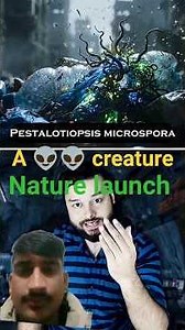 “A creature born to eat plastic — Nature’s invention!”#NatureDiscovery #PlasticEatingCreature#ytsort