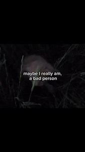 Maybe I am | Bigtimmyfyi