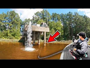 Why Glide Baits Are Fall Fishing’s Secret Weapon