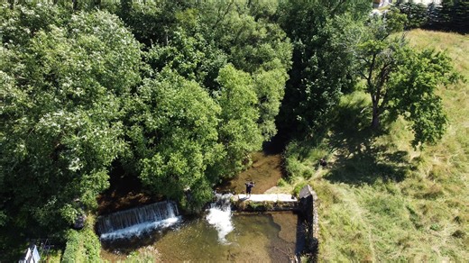 Brook, Stream, Trees. Free Stock Video