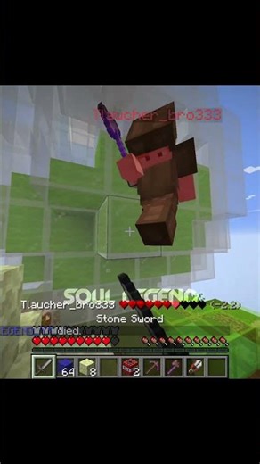 Minecraft Moment 💀